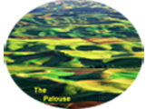 Palouse Logo